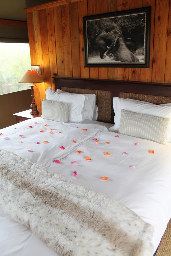 Addo Elephant Lodge & Safaris Kirkwood Экстерьер фото