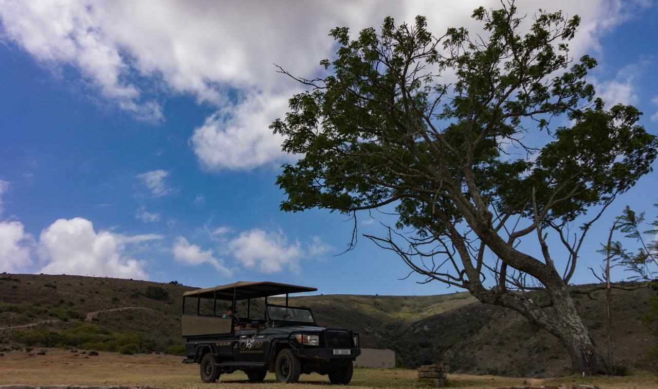 Addo Elephant Lodge & Safaris Kirkwood Экстерьер фото