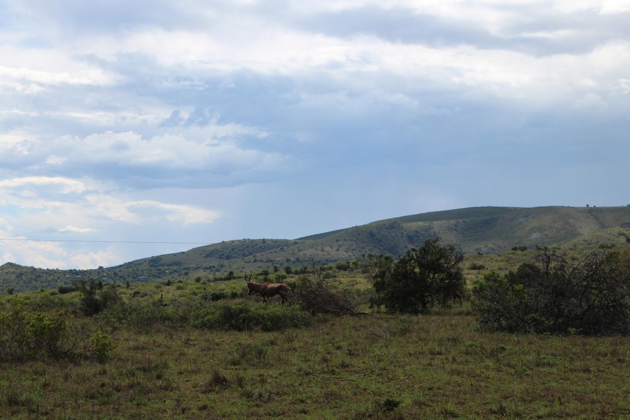 Addo Elephant Lodge & Safaris Kirkwood Экстерьер фото