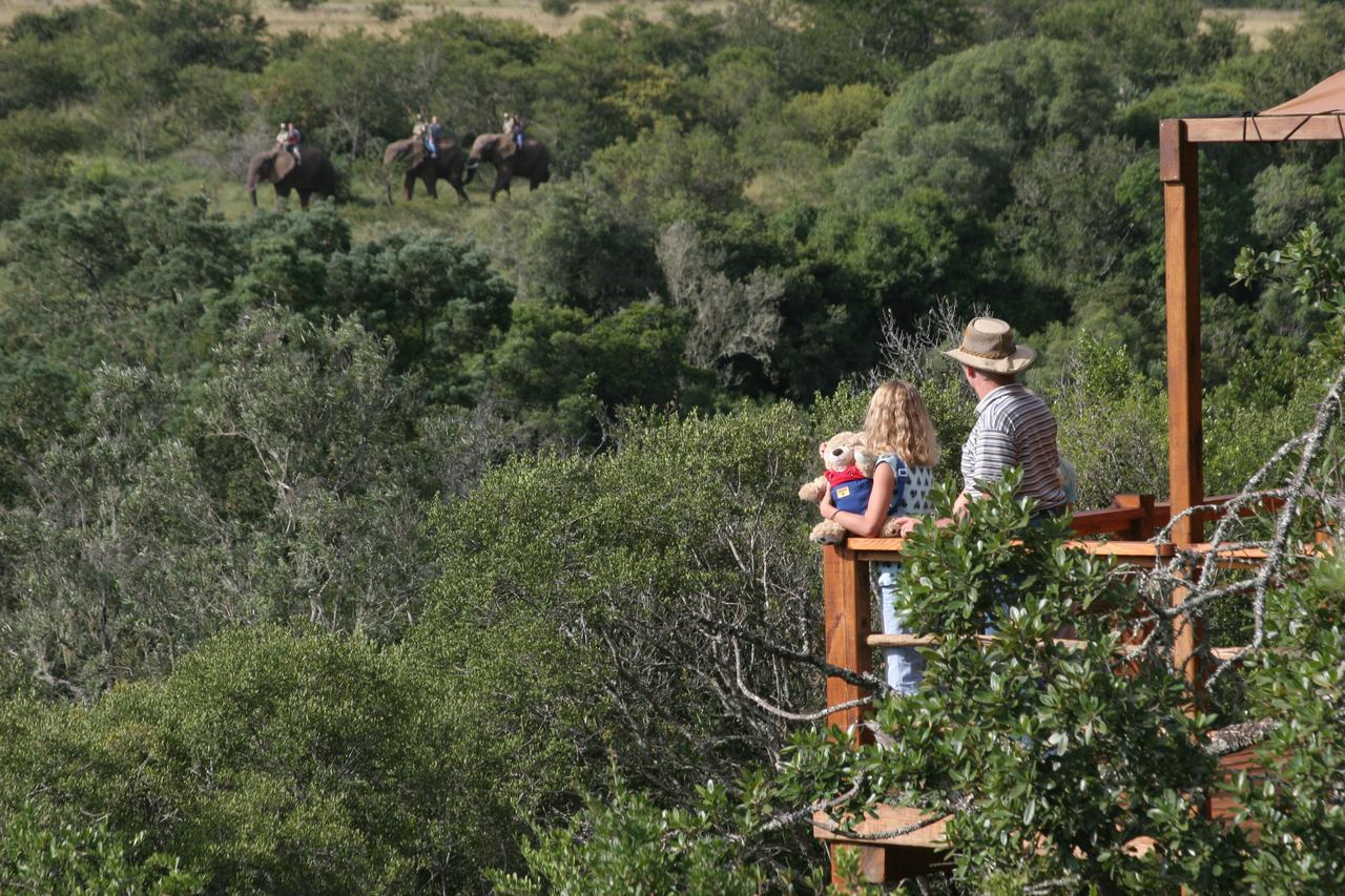 Addo Elephant Lodge & Safaris Kirkwood Экстерьер фото